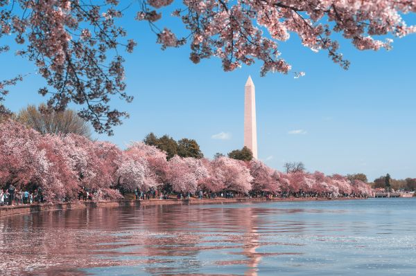 Washington Recycling Reform Act